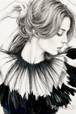 Coquetips - 13-18 cm - nero rondine